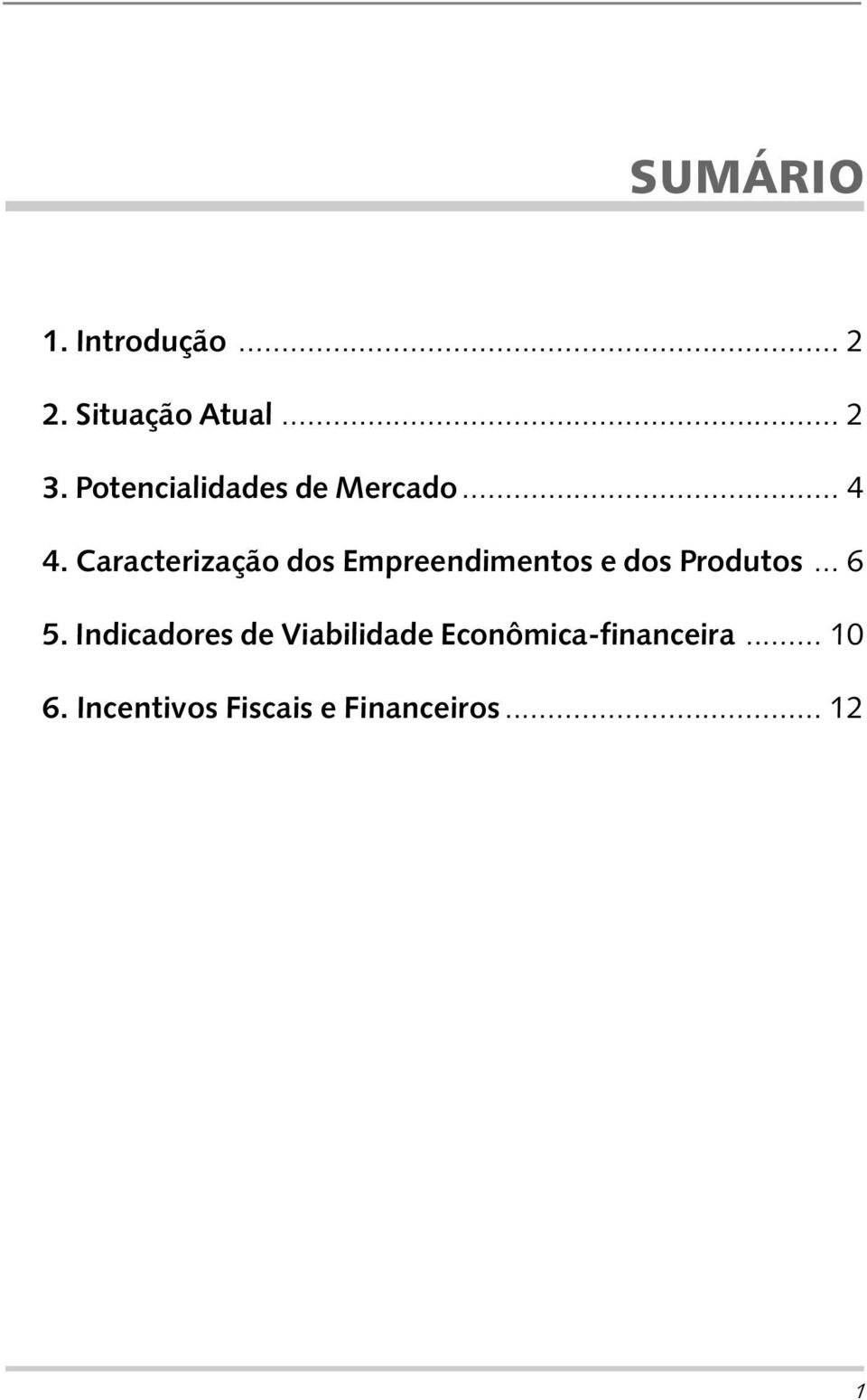 Caracterização dos Empreendimentos e dos Produtos... 6 5.