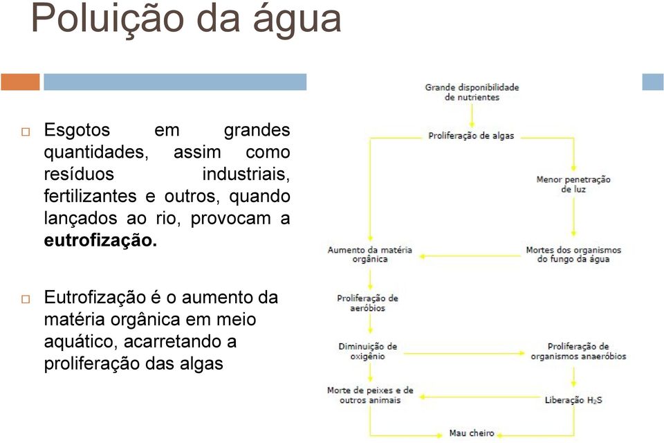 ao rio, provocam a eutrofização.