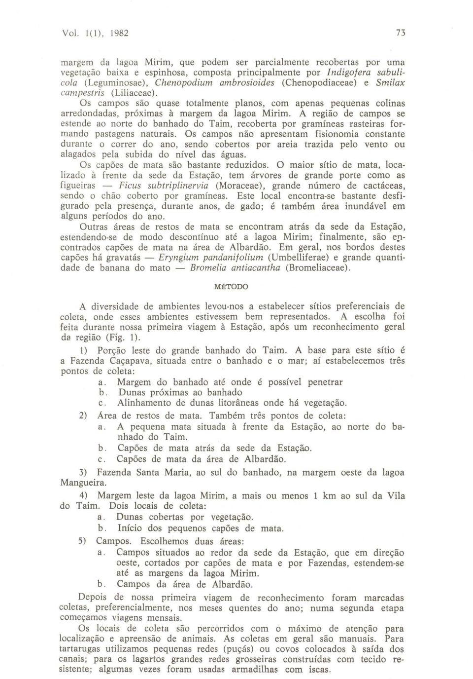 A região de campos se estende ao norte do banhado do Taim, recoberta por gramíneas rasteiras formando pastagens naturais.