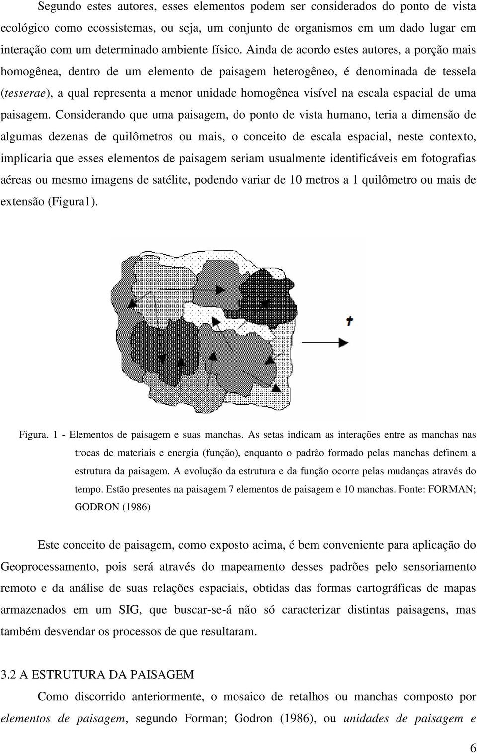 Ainda de acordo estes autores, a porção mais homogênea, dentro de um elemento de paisagem heterogêneo, é denominada de tessela (tesserae), a qual representa a menor unidade homogênea visível na