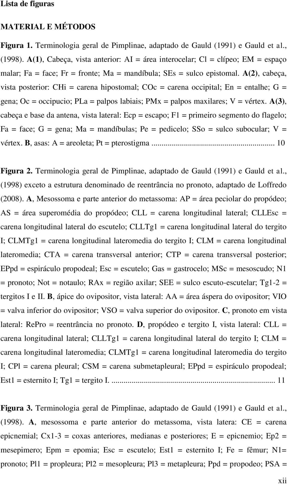 A(2), cabeça, vista posterior: CHi = carena hipostomal; COc = carena occipital; En = entalhe; G = gena; Oc = occipucio; PLa = palpos labiais; PMx = palpos maxilares; V = vértex.