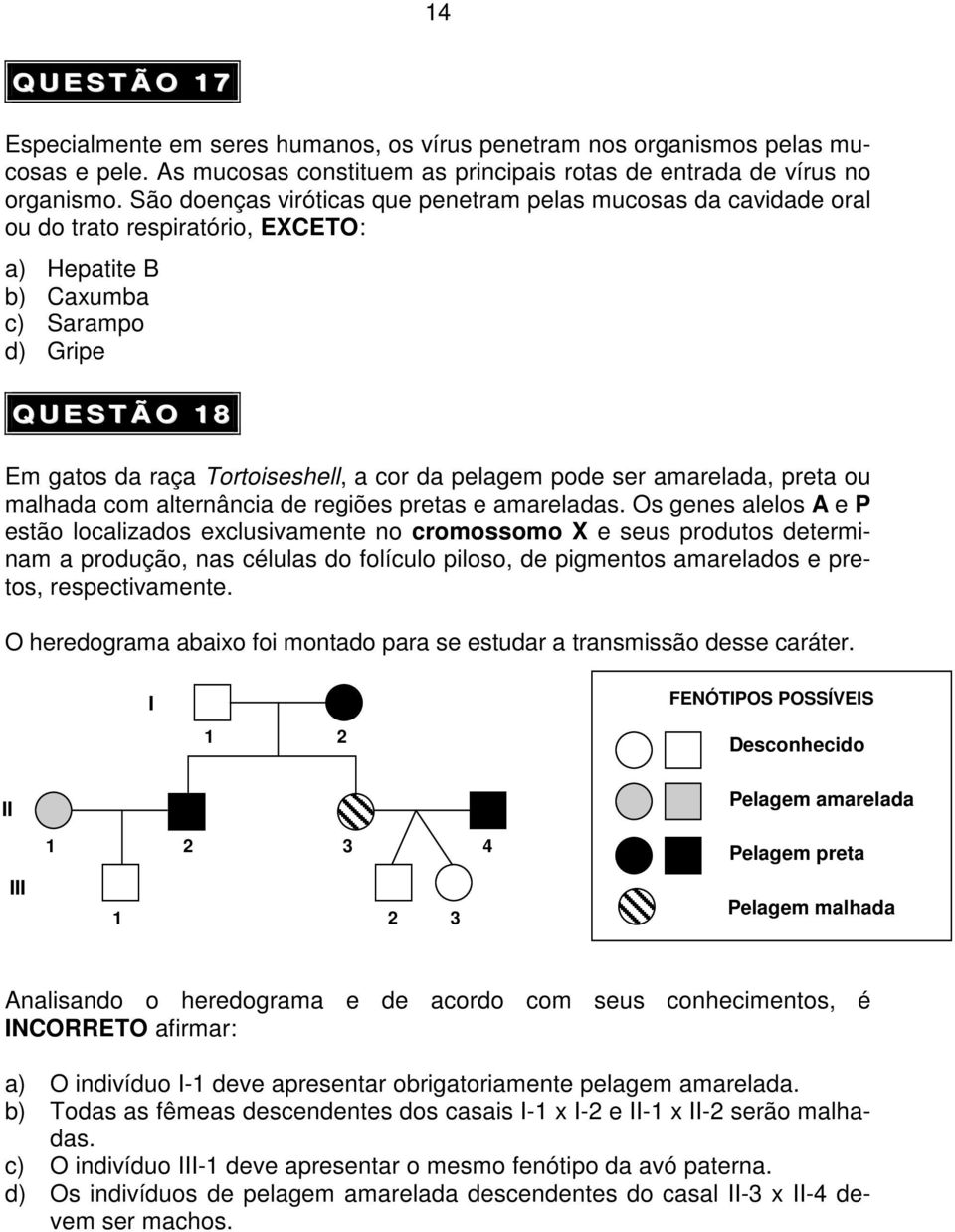 cor da pelagem pode ser amarelada, preta ou malhada com alternância de regiões pretas e amareladas.