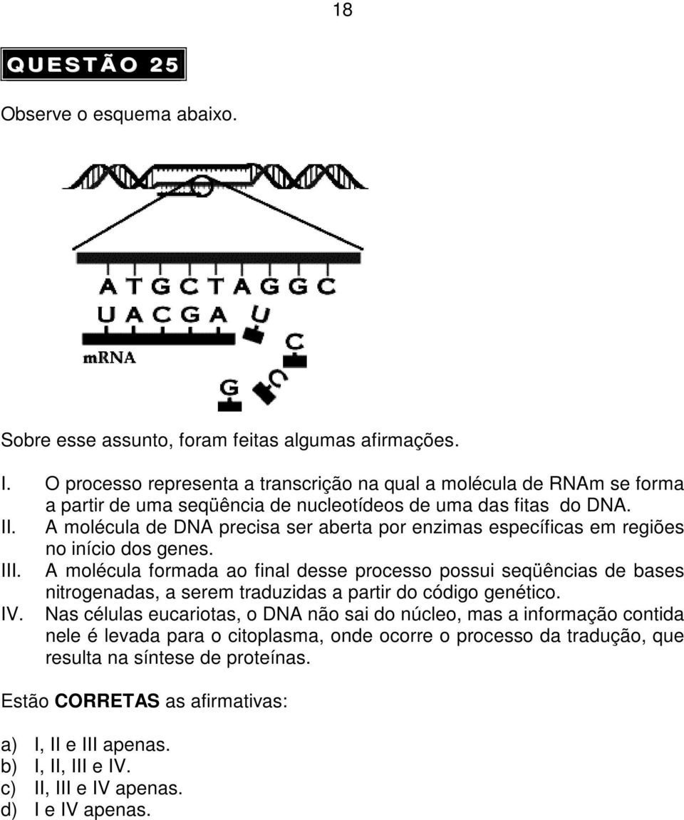 A molécula de DNA precisa ser aberta por enzimas específicas em regiões no início dos genes. III.