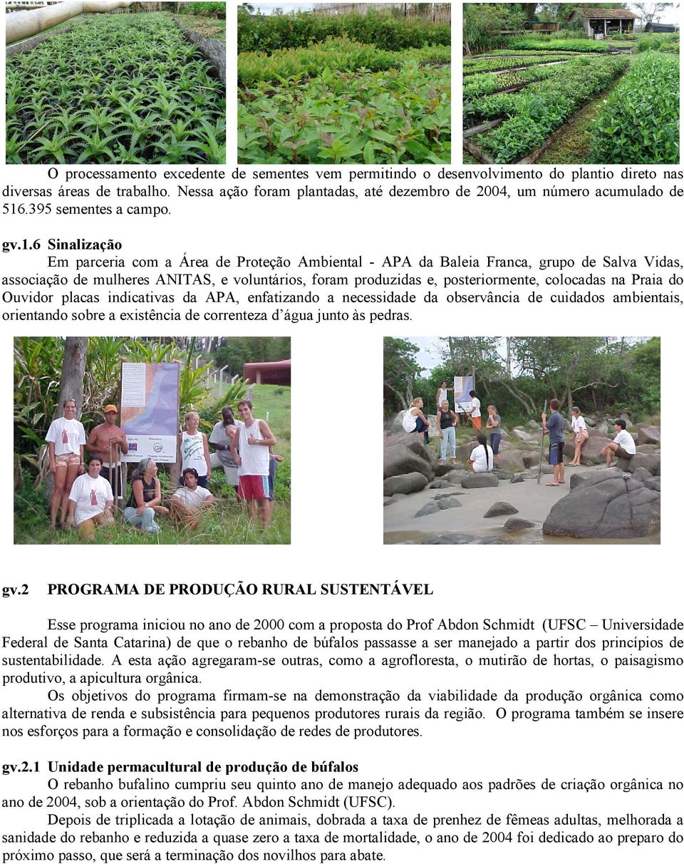 6 Sinalização Em parceria com a Área de Proteção Ambiental - APA da Baleia Franca, grupo de Salva Vidas, associação de mulheres ANITAS, e voluntários, foram produzidas e, posteriormente, colocadas na