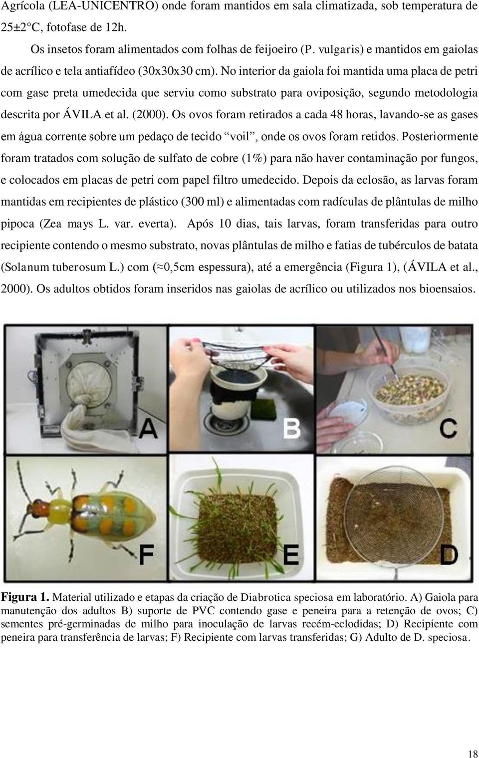 No interior d giol foi mntid um plc de petri com gse pret umedecid que serviu como substrto pr oviposição, segundo metodologi descrit por ÁVILA et l. (2000).