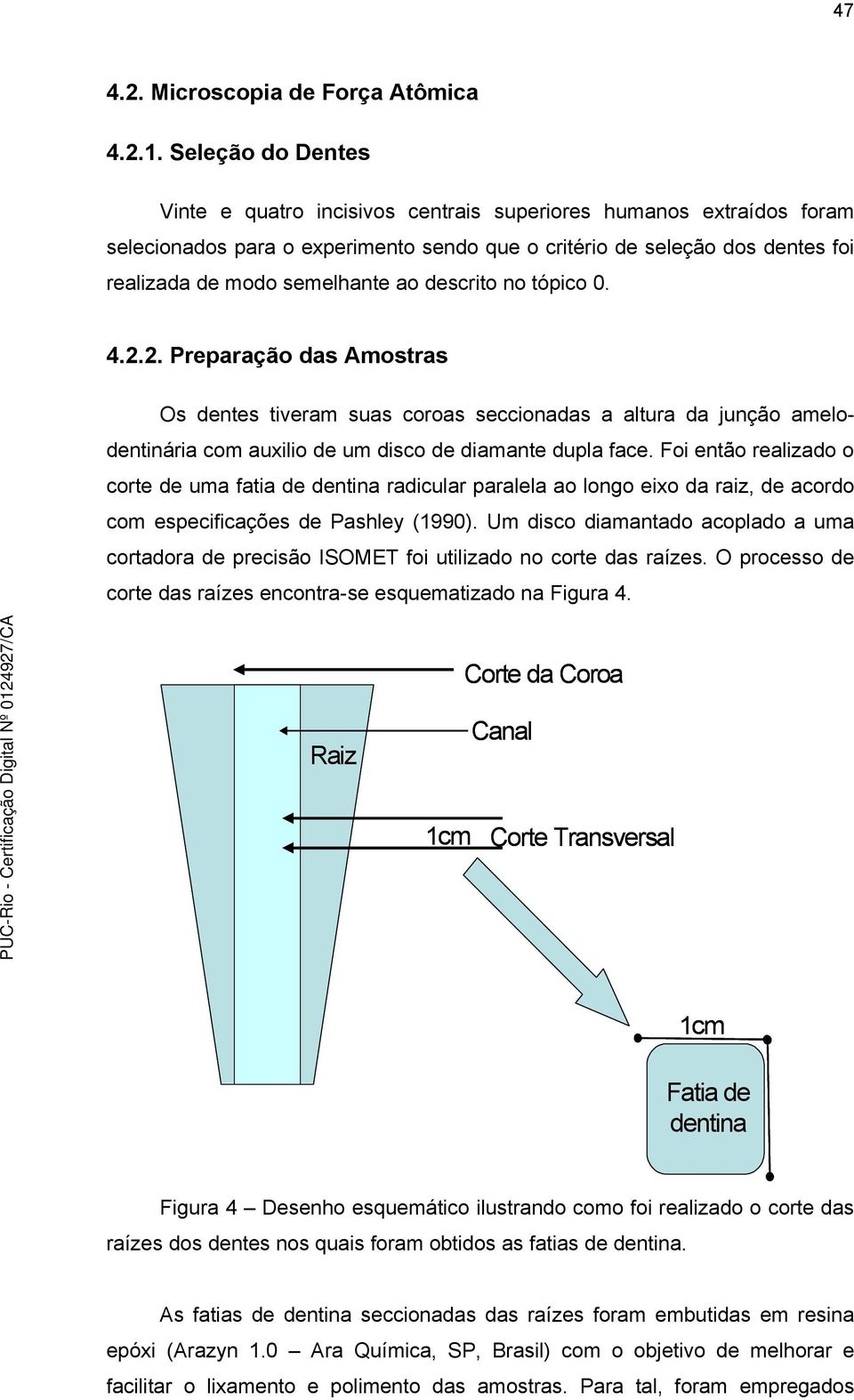 descrito no tópico 0. 4.2.2. Preparação das Amostras Os dentes tiveram suas coroas seccionadas a altura da junção amelodentinária com auxilio de um disco de diamante dupla face.