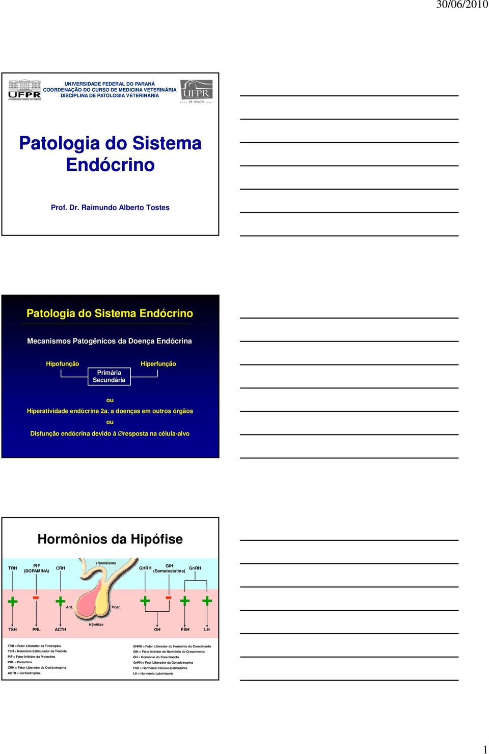 a doenças em outros órgãos ou Disfunção endócrina devido à resposta na célula-alvo Hormônios da Hipófise TRH PIF (DOPAMINA) CRH Hipotálamo GIH GHRH (Somatostatina) GnRH + - + + - + + Ant. Post.