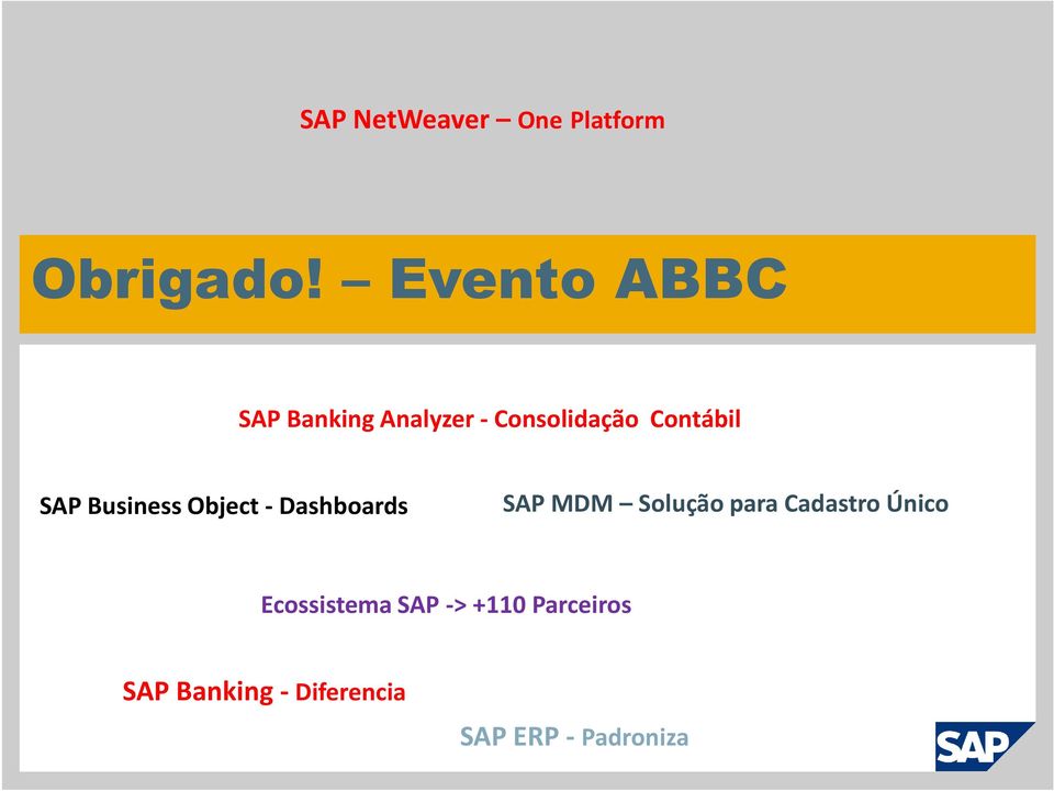 Business Object - Dashboards SAP MDM Solução para Cadastro