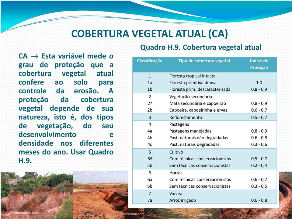 COBERTURA VEGETAL ATUAL (CA) Quadro H.9.