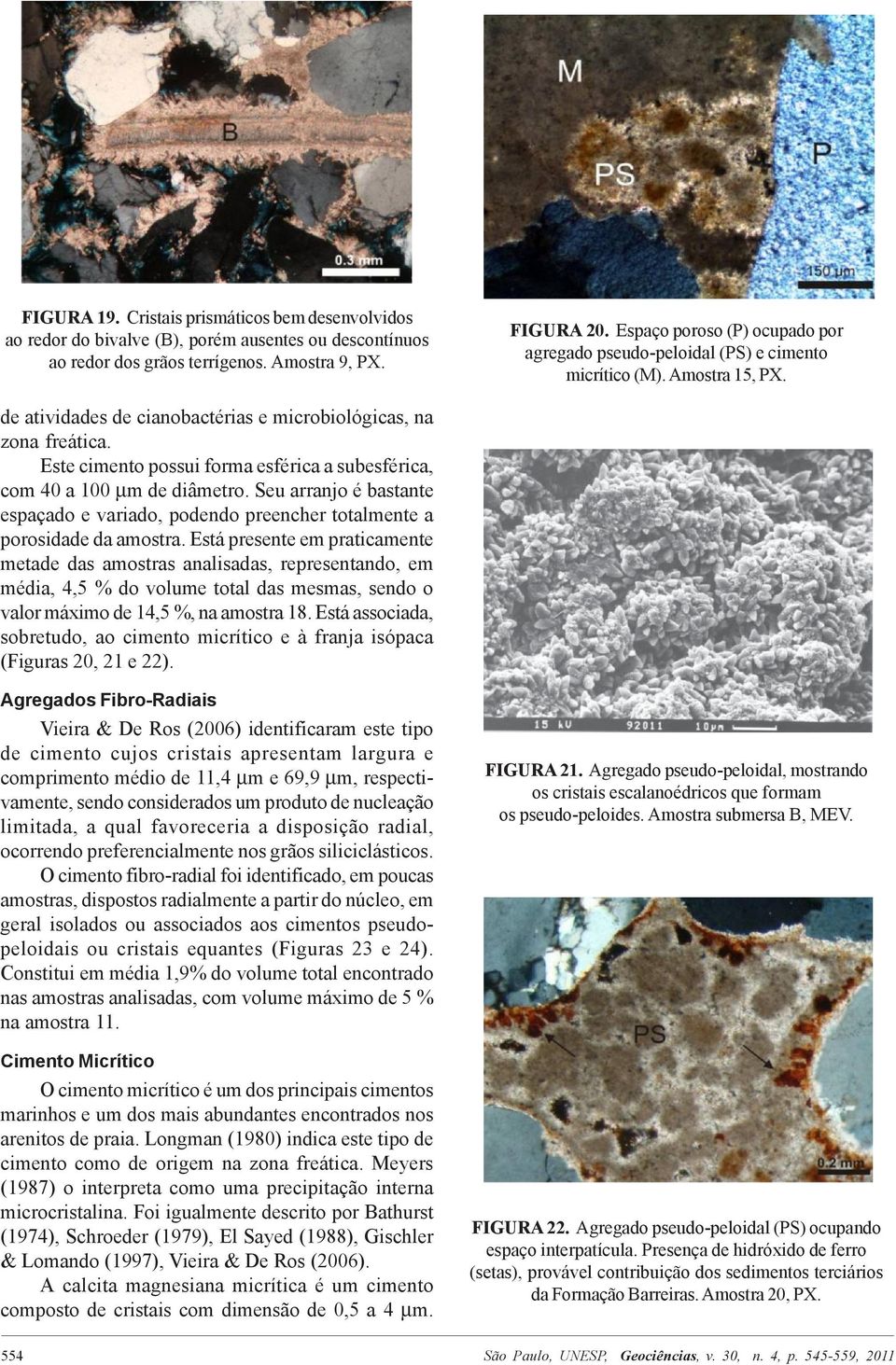 Este cimento possui forma esférica a subesférica, com 40 a 100 µm de diâmetro. Seu arranjo é bastante espaçado e variado, podendo preencher totalmente a porosidade da amostra.