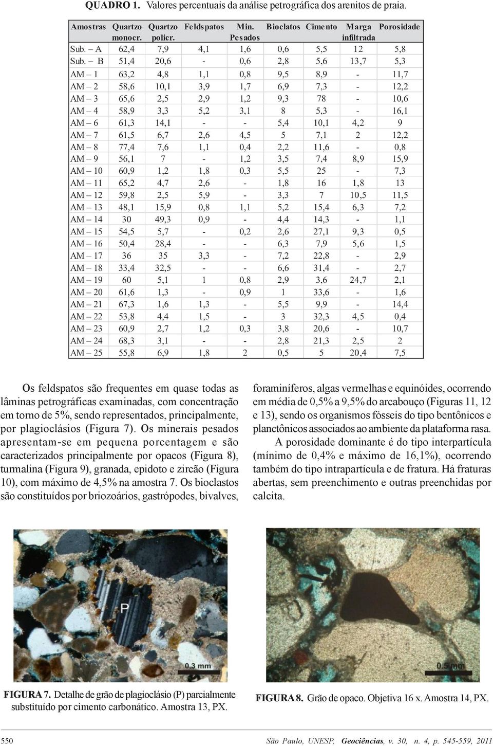 Os minerais pesados apresentam-se em pequena porcentagem e são caracterizados principalmente por opacos (Figura 8), turmalina (Figura 9), granada, epidoto e zircão (Figura 10), com máximo de 4,5% na