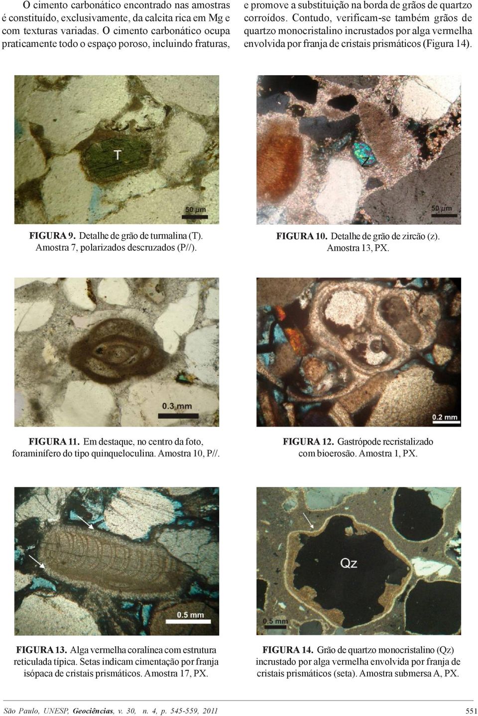 Contudo, verificam-se também grãos de quartzo monocristalino incrustados por alga vermelha envolvida por franja de cristais prismáticos (Figura 14). FIGURA 9. Detalhe de grão de turmalina (T).