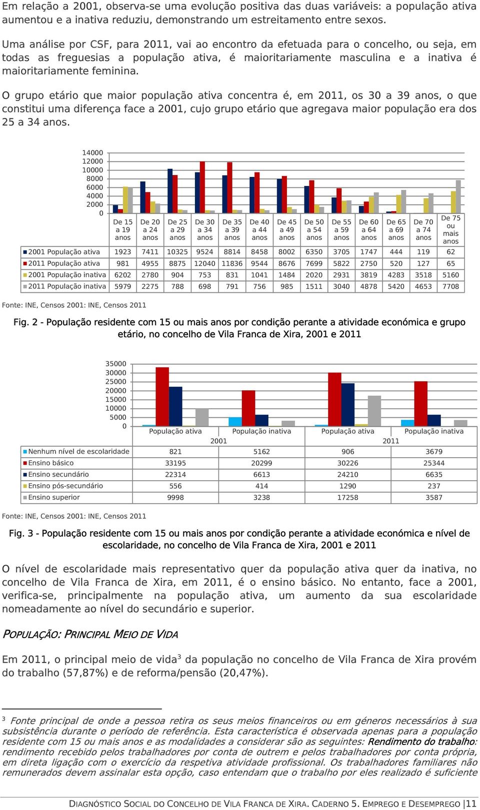 O grupo etário que maior população ativa concentra é, em 2011, os 30 a 39 anos, o que constitui uma diferença face a 2001, cujo grupo etário que agregava maior população era dos 25 a 34 anos.