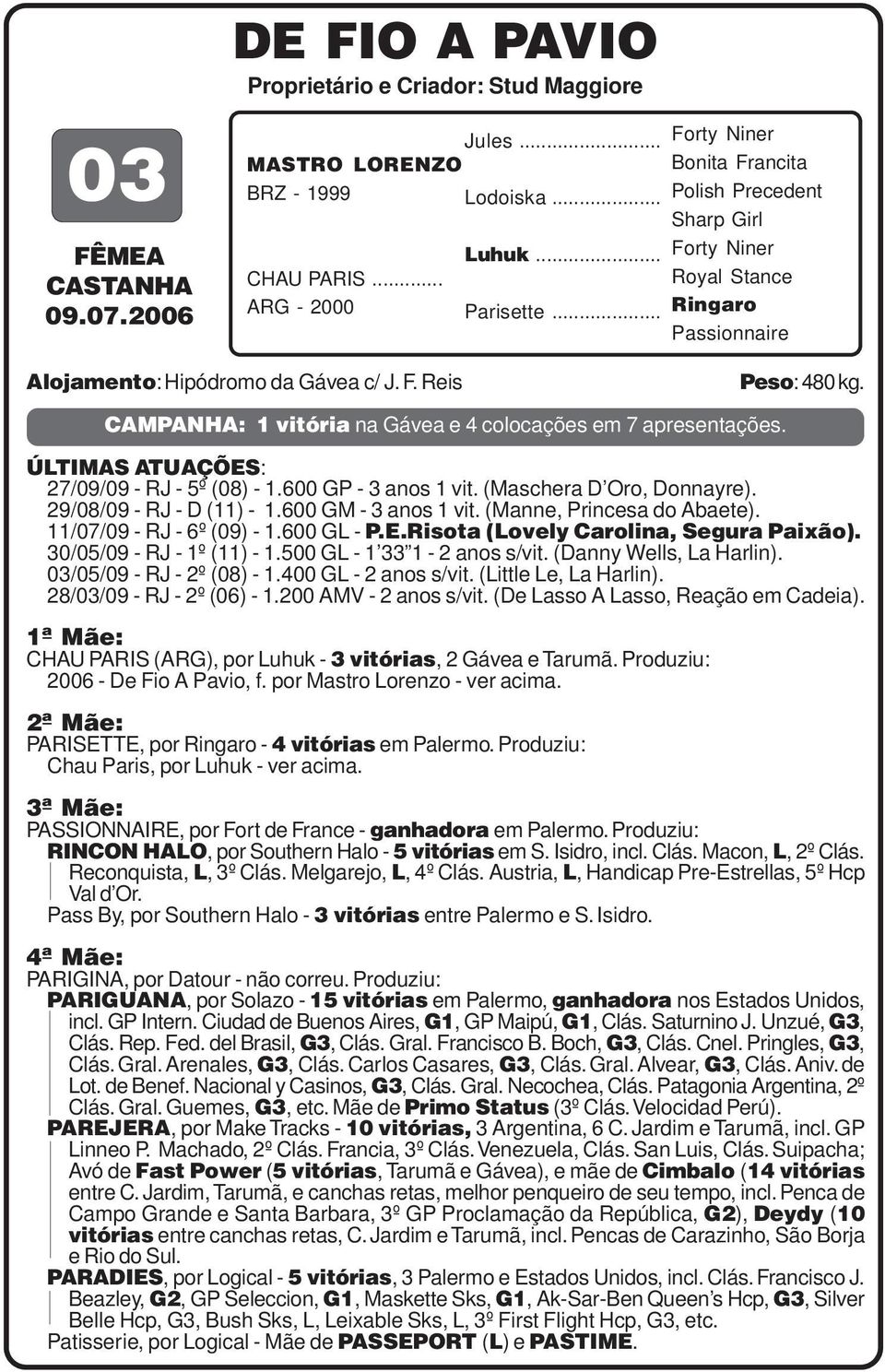 CAMPANHA: 1 vitória na Gávea e 4 colocações em 7 apresentações. 27/09/09 - RJ - 5º (08) - 1.600 GP - 3 anos 1 vit. (Maschera D Oro, Donnayre). 29/08/09 - RJ - D (11) - 1.600 GM - 3 anos 1 vit.