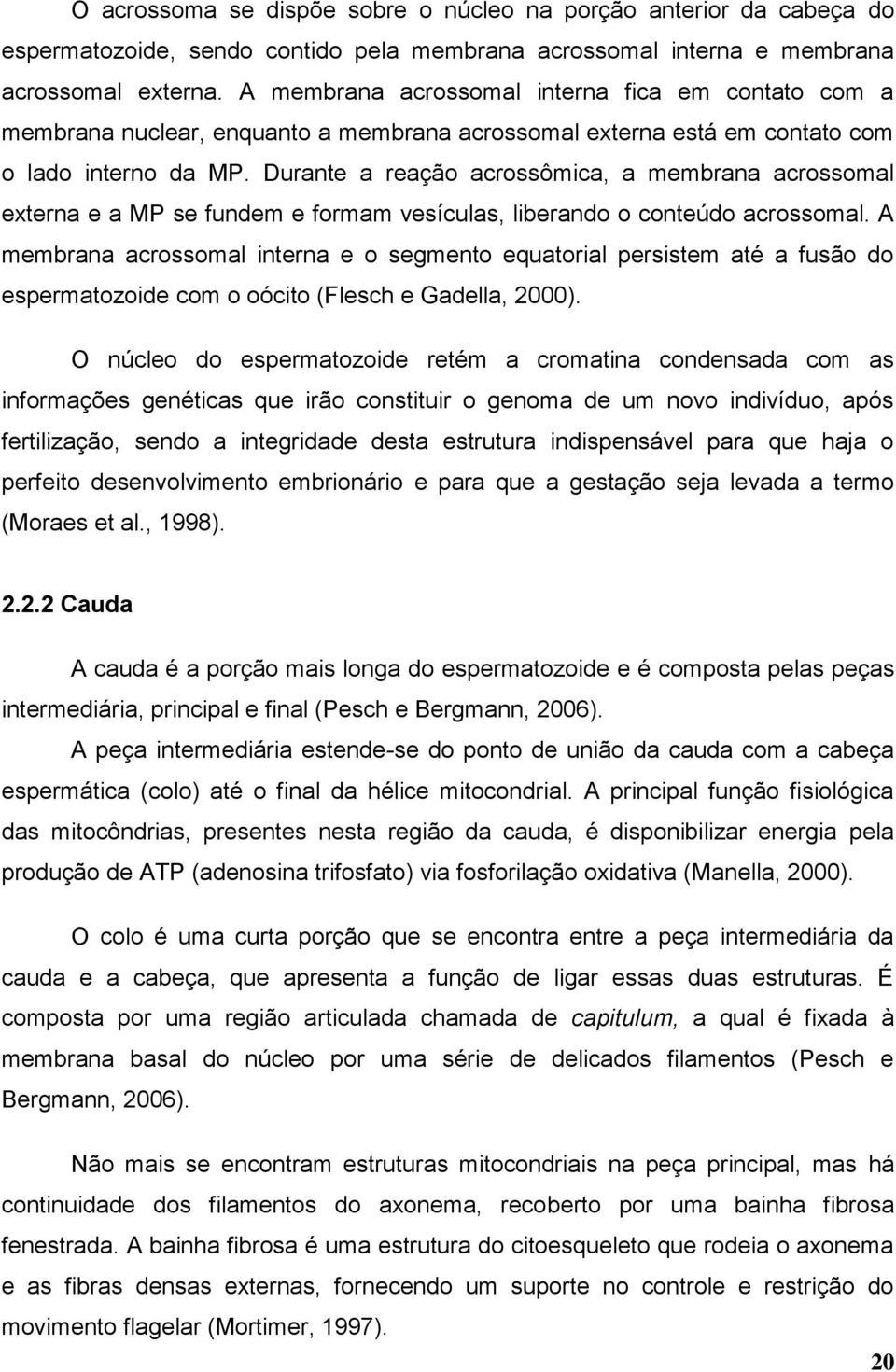 Durante a reação acrossômica, a membrana acrossomal externa e a MP se fundem e formam vesículas, liberando o conteúdo acrossomal.