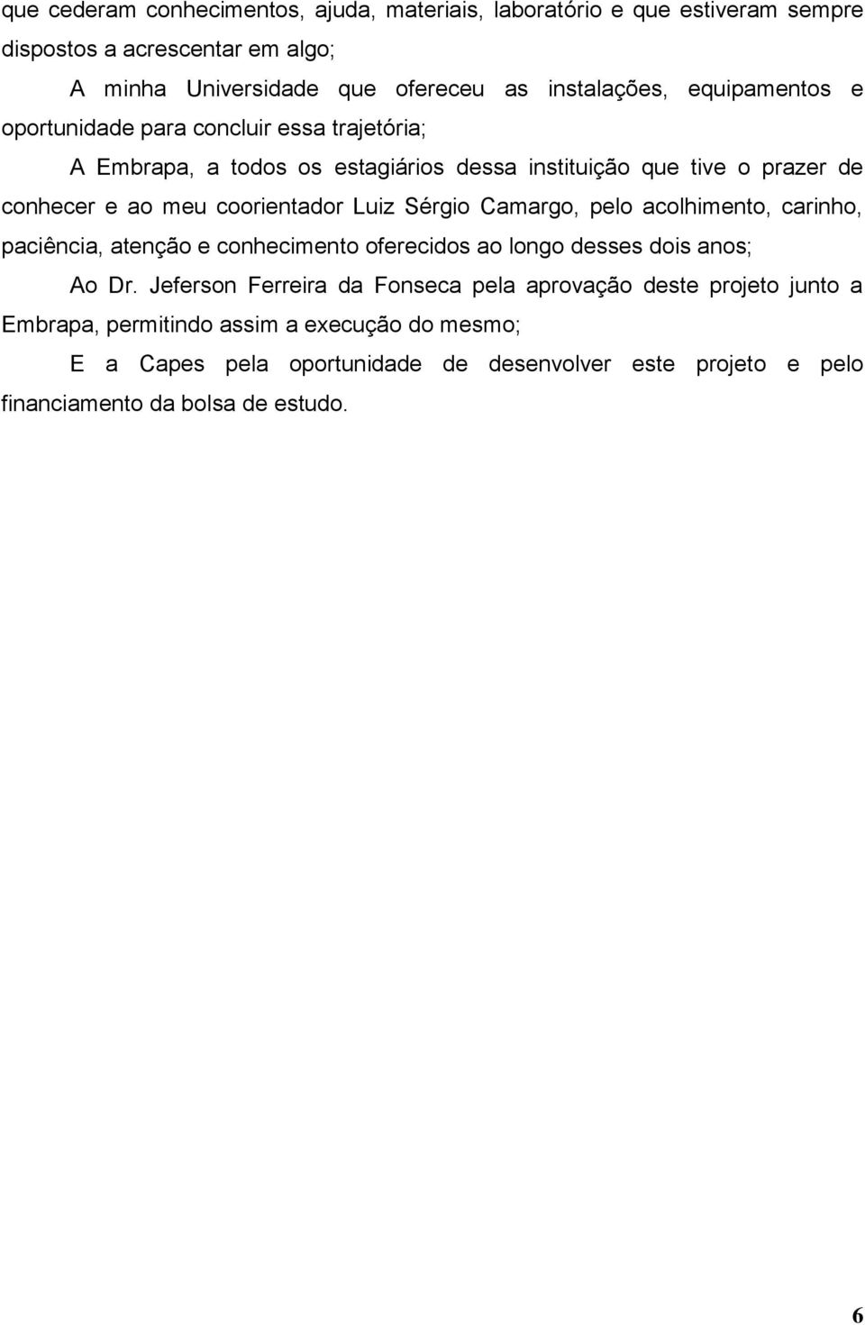 Luiz Sérgio Camargo, pelo acolhimento, carinho, paciência, atenção e conhecimento oferecidos ao longo desses dois anos; Ao Dr.