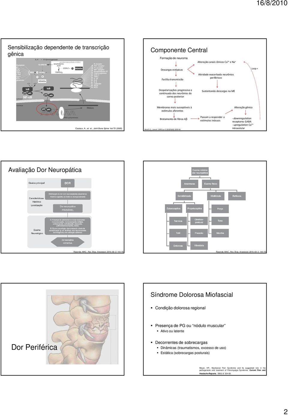 , et. al., Joint Bone Spine. Vol.72 (2005) Brotamento de fibras Aβ Woolf, CJ., Lancet. 1999 Jun 5;353(9168):1959-64.