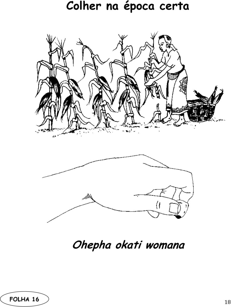 Ohepha okati