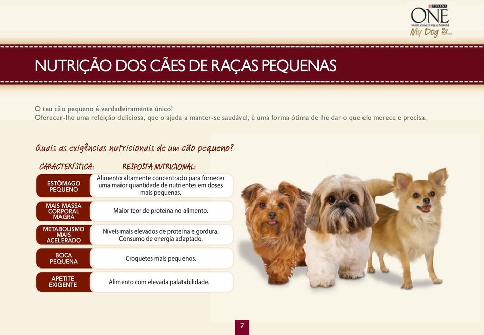 Quais as exigências nutricionais de um cão pequeno?