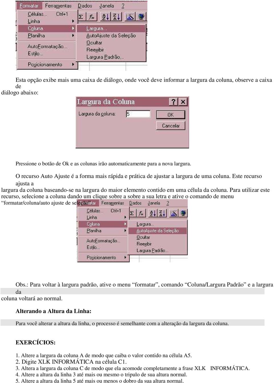 Este recurso ajusta a largura da coluna baseando-se na largura do maior elemento contido em uma célula da coluna.