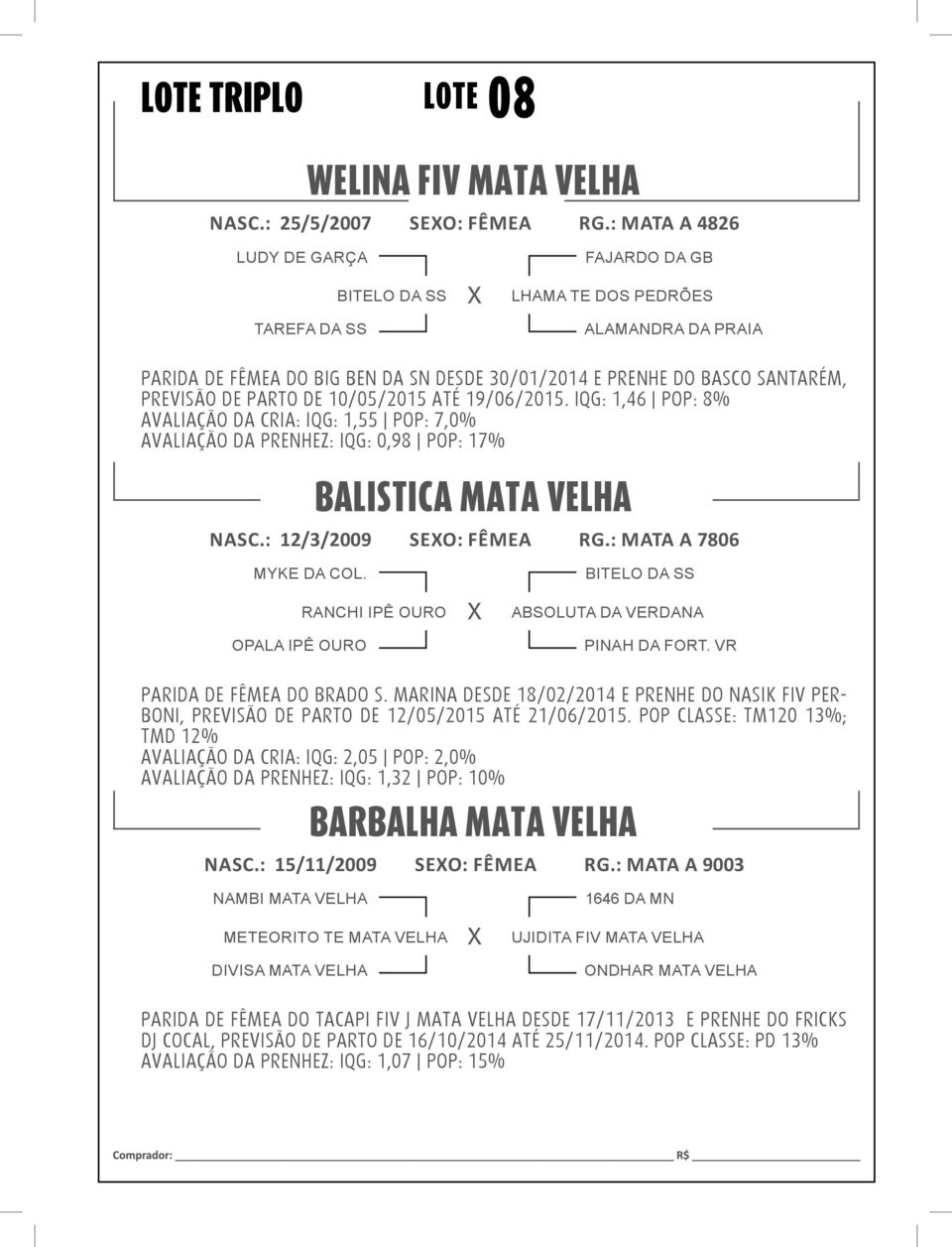 IQG: 1,46 POP: 8% AVALIAÇÃO DA CRIA: IQG: 1,55 POP: 7,0% AVALIAÇÃO DA PRENHEZ: IQG: 0,98 POP: 17% BALISTICA MATA VELHA NASC.: 12/3/2009 SEO: FÊMEA RG.: MATA A 7806 MYKE DA COL.