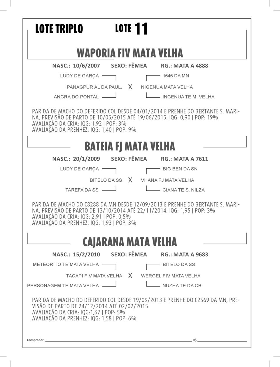 : 20/1/2009 SEO: FÊMEA RG.: MATA A 7611 VHANA FJ MATA VELHA CIANA TE S. NILZA PARIDA DE MACHO DO C8288 DA MN DESDE 12/09/2013 E PRENHE DO BERTANTE S.