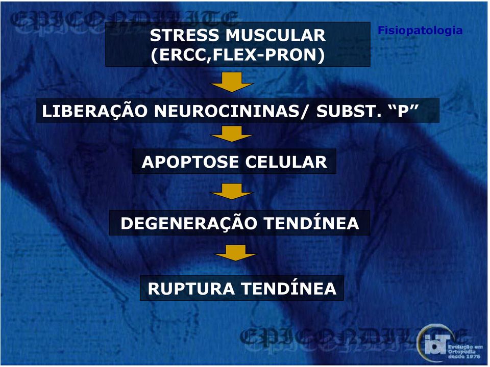 NEUROCININAS/ SUBST.