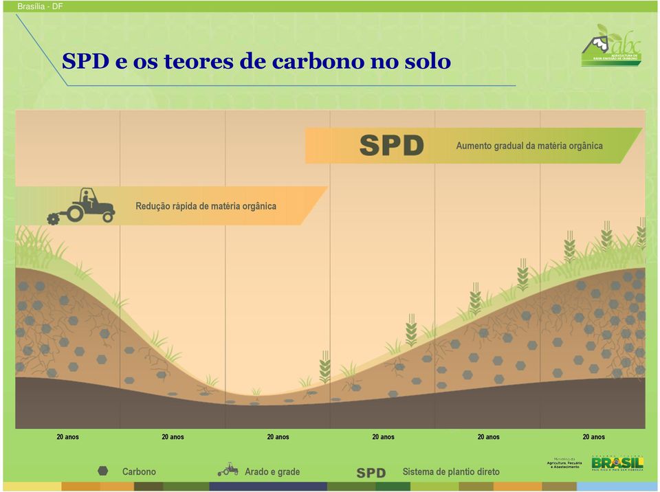 orgânica 20 anos 20 anos 20 anos 20 anos 20 anos