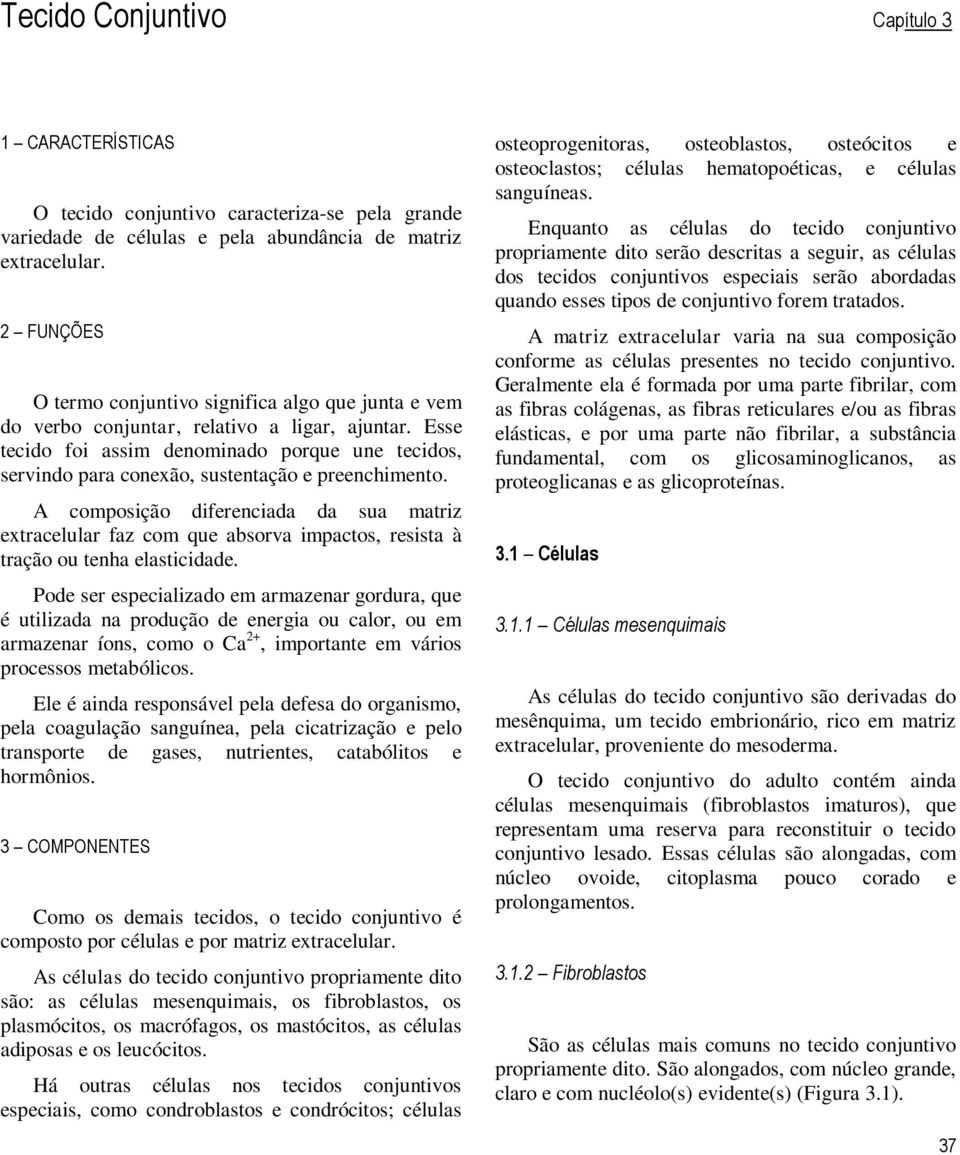 Esse tecido foi assim denominado porque une tecidos, servindo para conexão, sustentação e preenchimento.