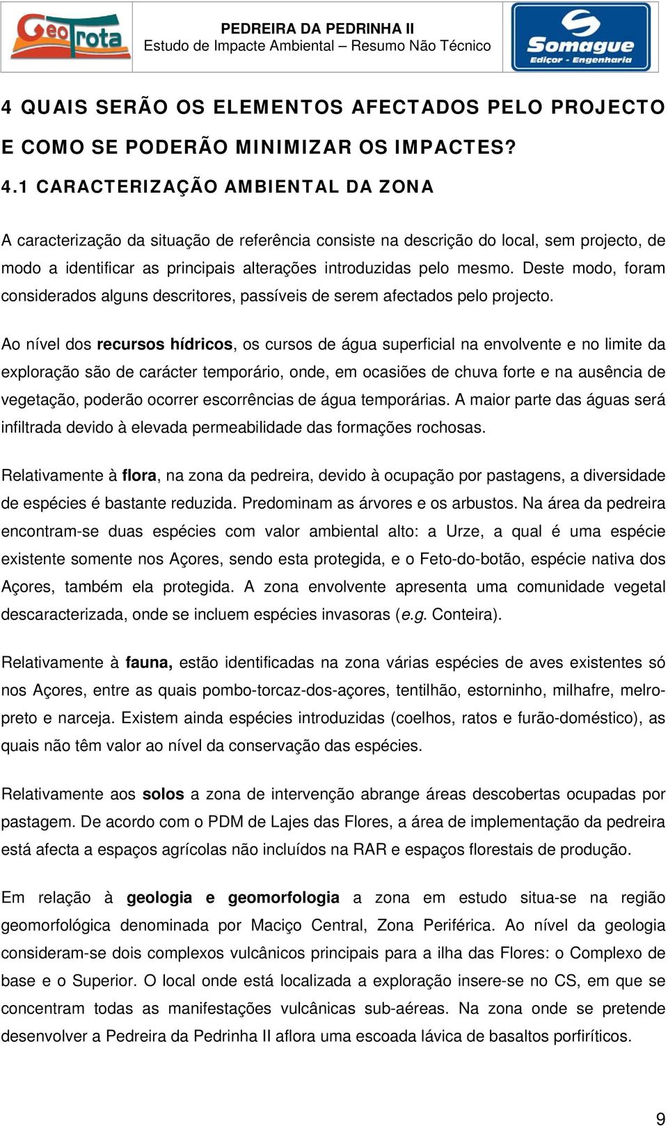 Deste modo, foram considerados alguns descritores, passíveis de serem afectados pelo projecto.