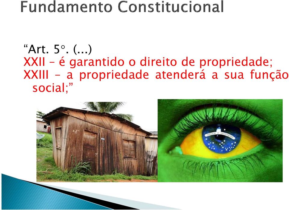 direito de propriedade;