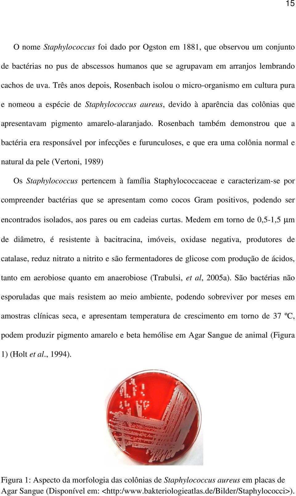 Rosenbach também demonstrou que a bactéria era responsável por infecções e furunculoses, e que era uma colônia normal e natural da pele (Vertoni, 1989) Os Staphylococcus pertencem à família