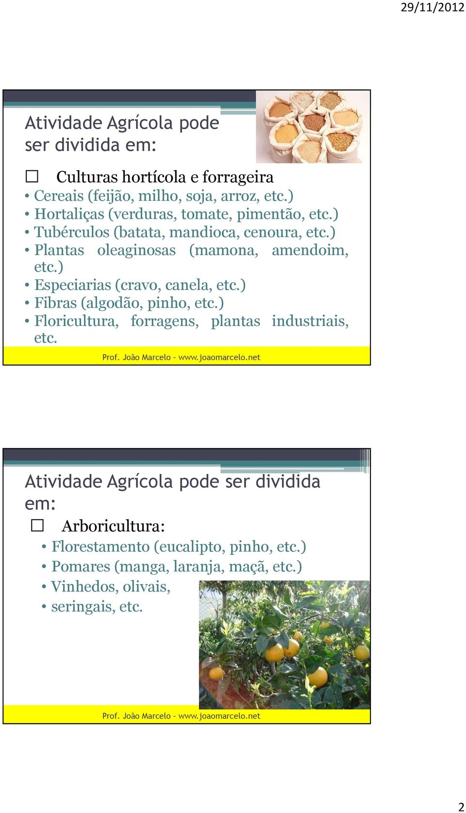 ) Plantas oleaginosas (mamona, amendoim, etc.) Especiarias (cravo, canela, etc.) Fibras (algodão, pinho, etc.