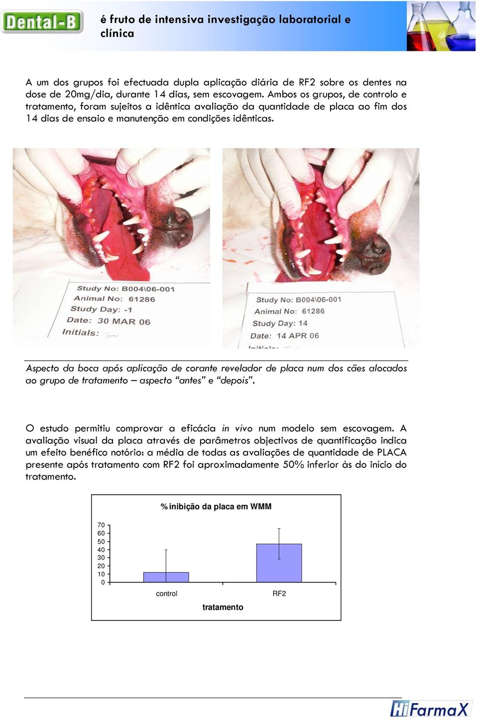 Aspecto da boca após aplicação de corante revelador de placa num dos cães alocados ao grupo de tratamento aspecto antes e depois.