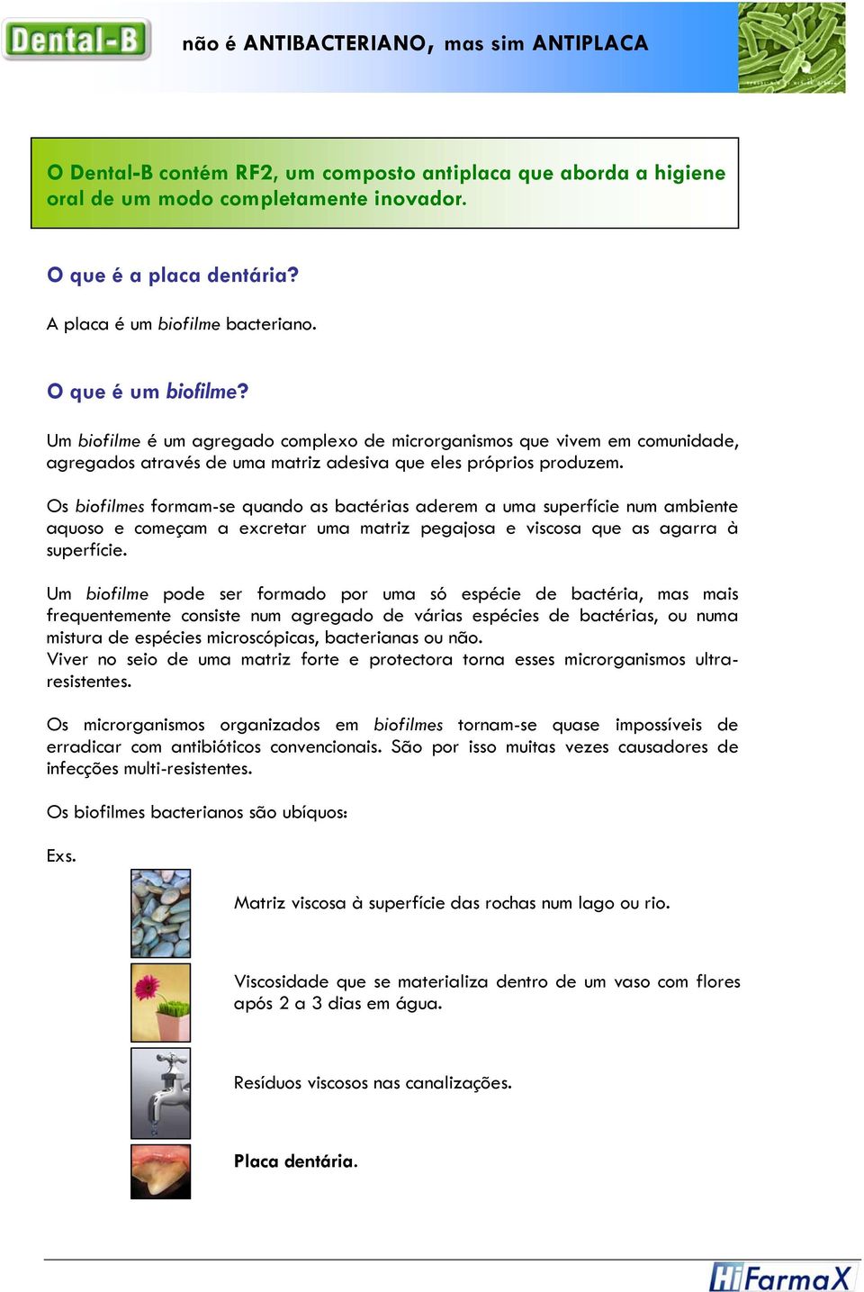 Os biofilmes formam-se quando as bactérias aderem a uma superfície num ambiente aquoso e começam a excretar uma matriz pegajosa e viscosa que as agarra à superfície.