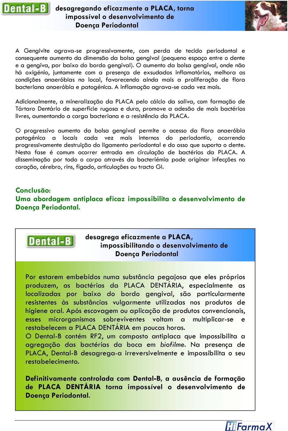 O aumento da bolsa gengival, onde não há oxigénio, juntamente com a presença de exsudados inflamatórios, melhora as condições anaeróbias no local, favorecendo ainda mais a proliferação de flora