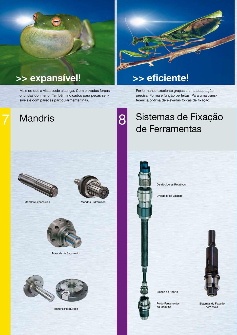 Forma e função perfeitas. Para uma transferência óptima de elevadas forças de fixação.