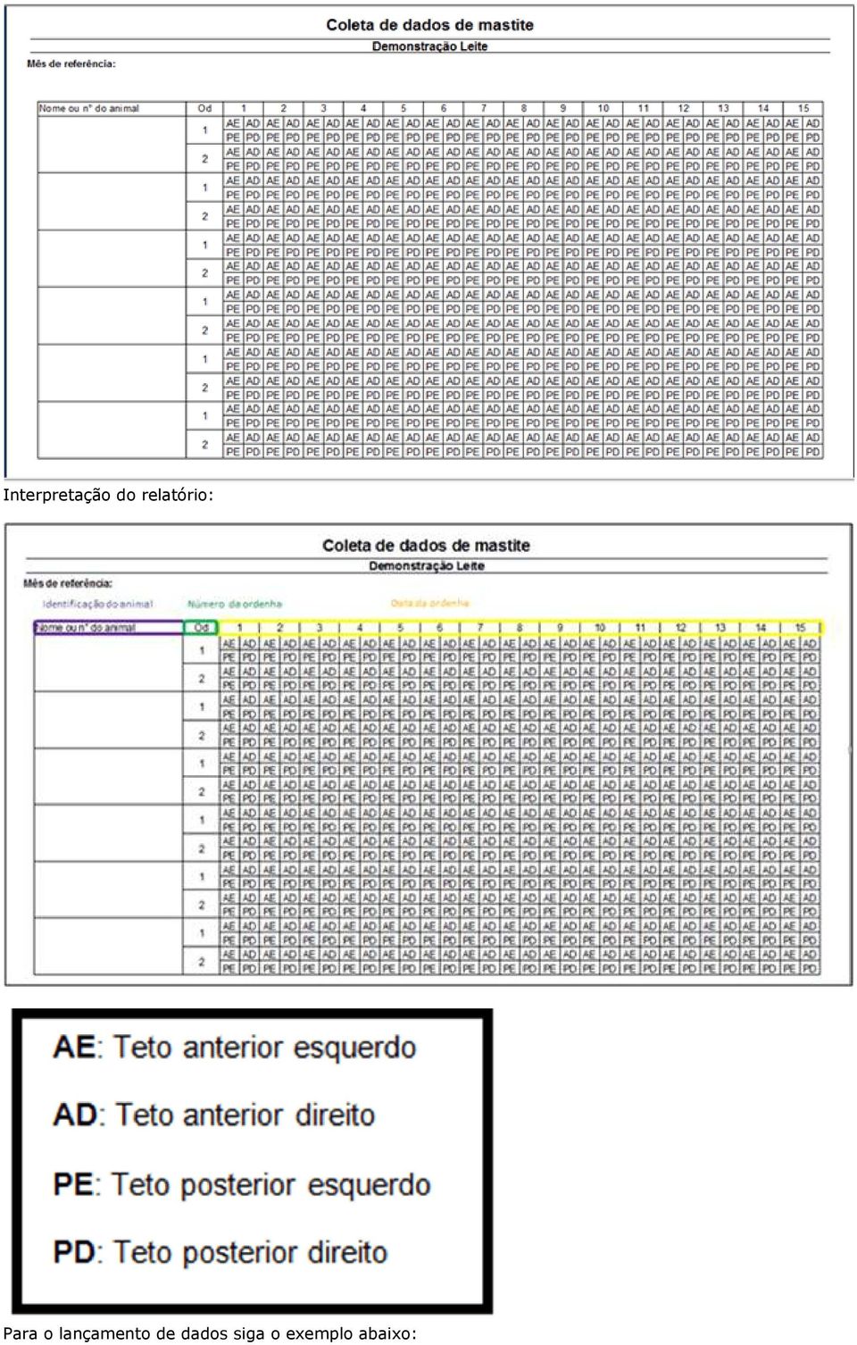 lançamento de dados