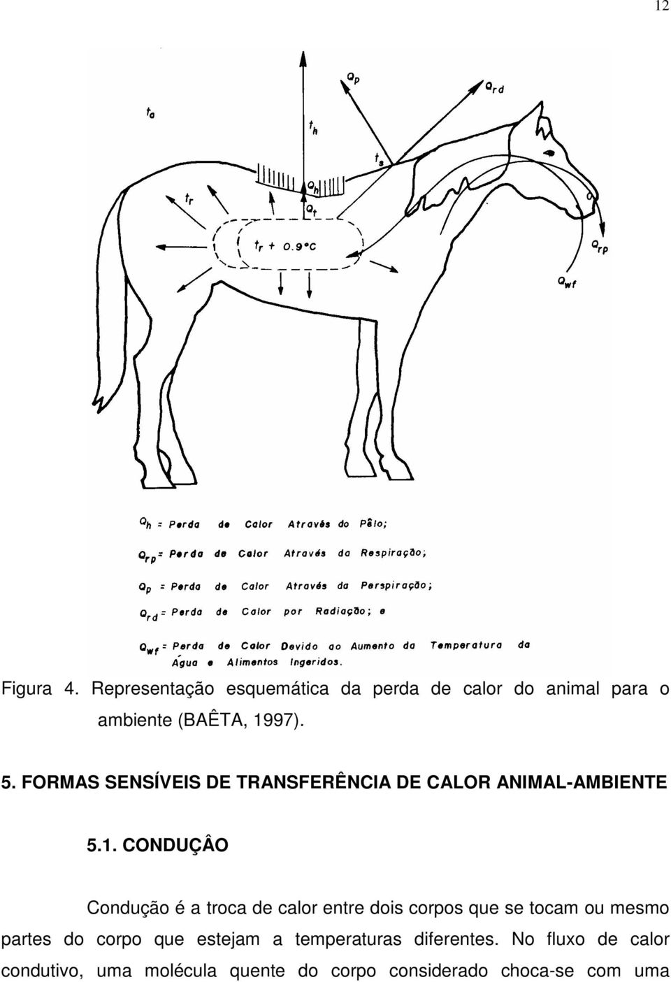 FORMAS SENSÍVEIS DE TRANSFERÊNCIA DE CALOR ANIMAL-AMBIENTE 5.1.