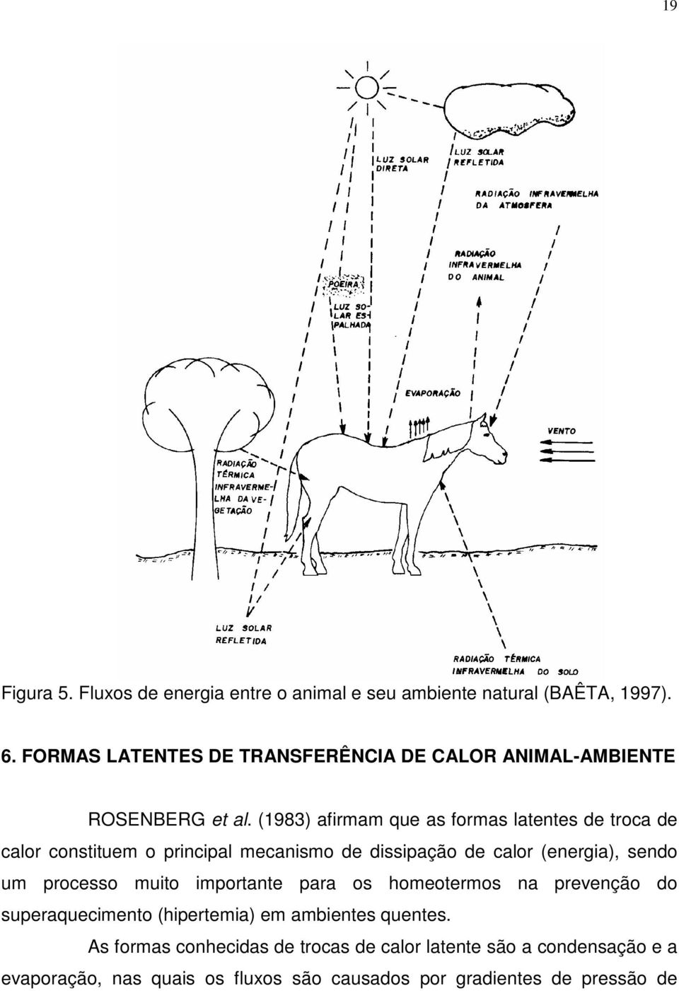 (1983) afirmam que as formas latentes de troca de calor constituem o principal mecanismo de dissipação de calor (energia), sendo um