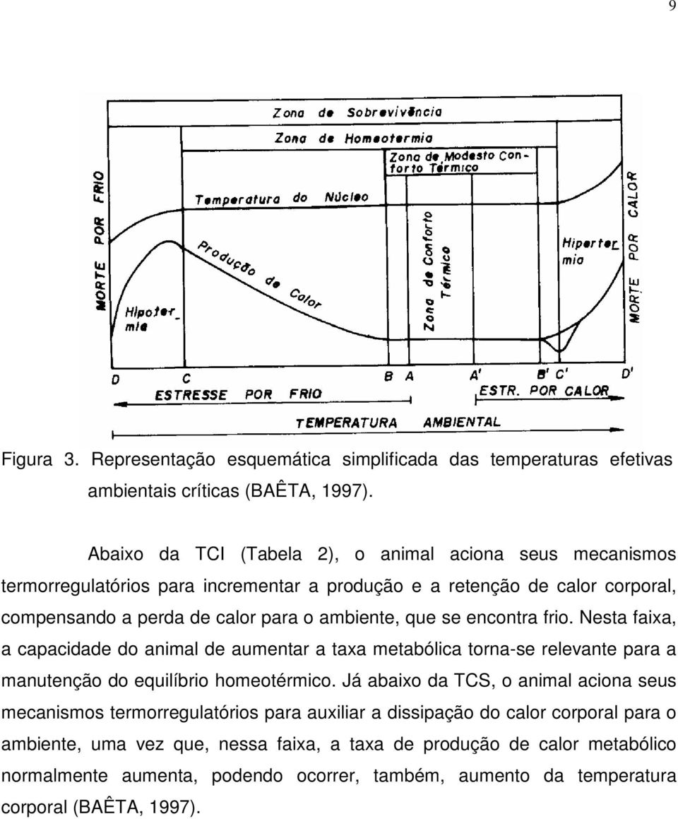 que se encontra frio. Nesta faixa, a capacidade do animal de aumentar a taxa metabólica torna-se relevante para a manutenção do equilíbrio homeotérmico.