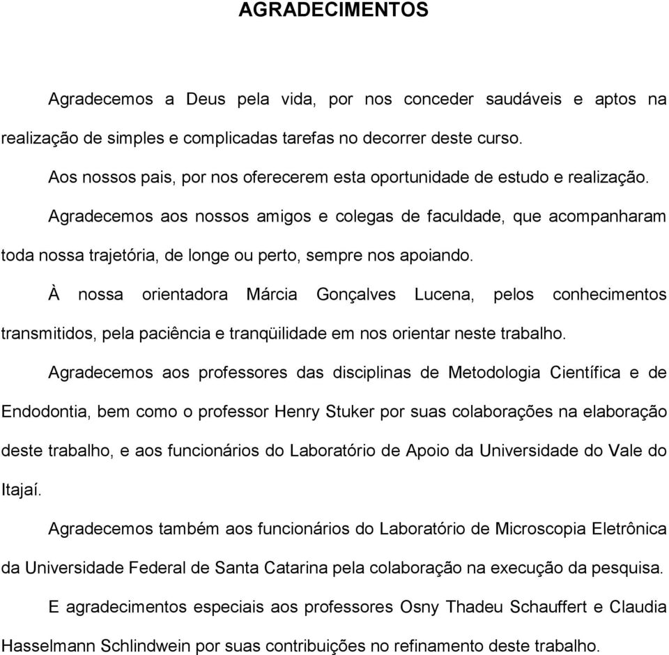 Agradecemos aos nossos amigos e colegas de faculdade, que acompanharam toda nossa trajetória, de longe ou perto, sempre nos apoiando.