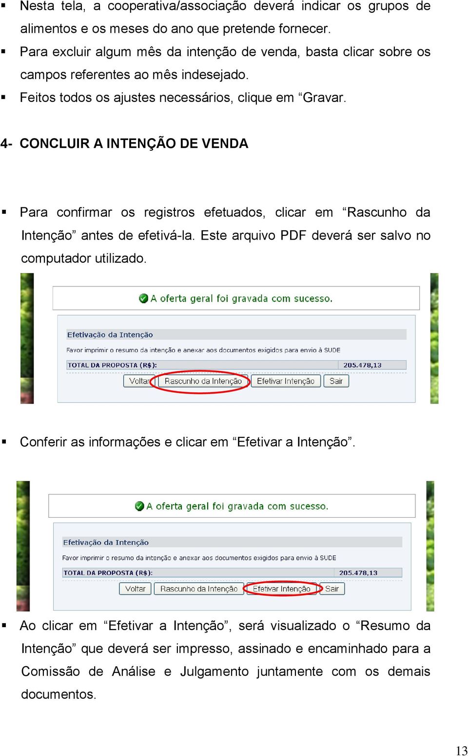 4- CONCLUIR A INTENÇÃO DE VENDA Para confirmar os registros efetuados, clicar em Rascunho da Intenção antes de efetivá-la.