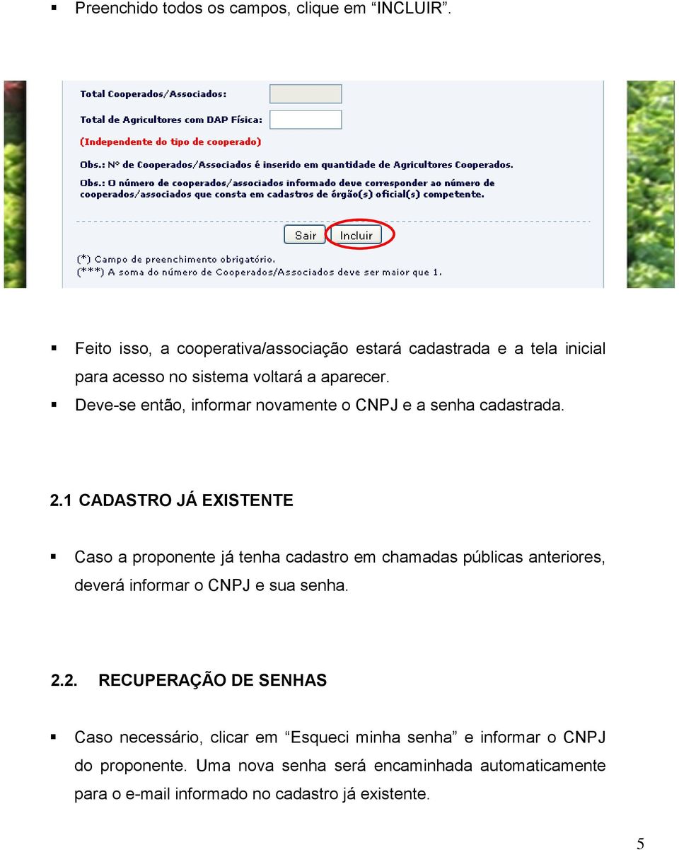 Deve-se então, informar novamente o CNPJ e a senha cadastrada. 2.