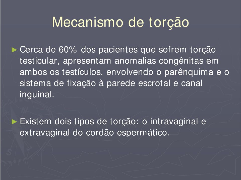 envolvendo o parênquima e o sistema de fixação à parede escrotal e canal