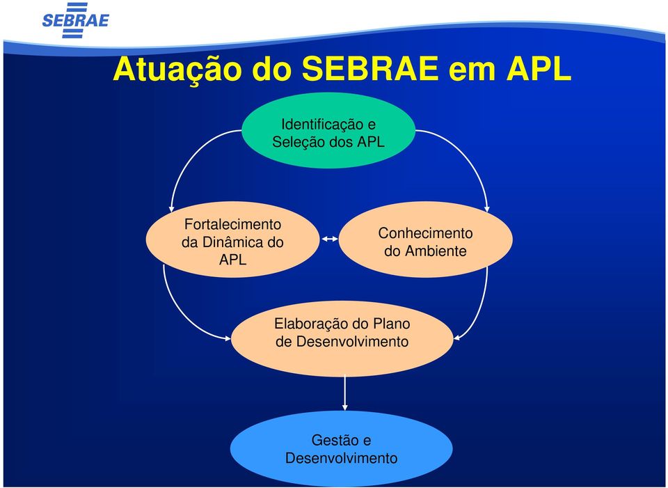 do APL Conhecimento do Ambiente Elaboração