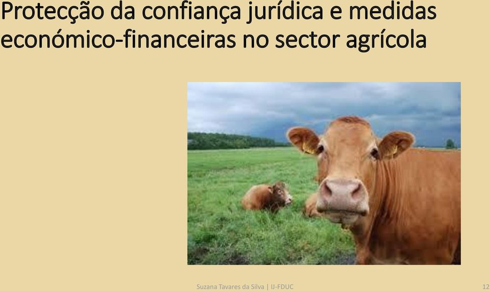 económico-financeiras no