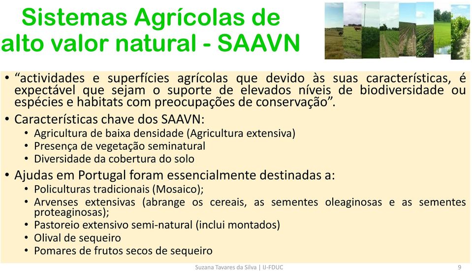 Características chave dos SAAVN: Agricultura de baixa densidade (Agricultura extensiva) Presença de vegetação seminatural Diversidade da cobertura do solo Ajudas em Portugal foram