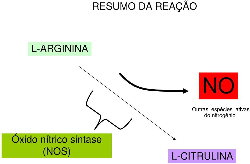 espécies ativas do