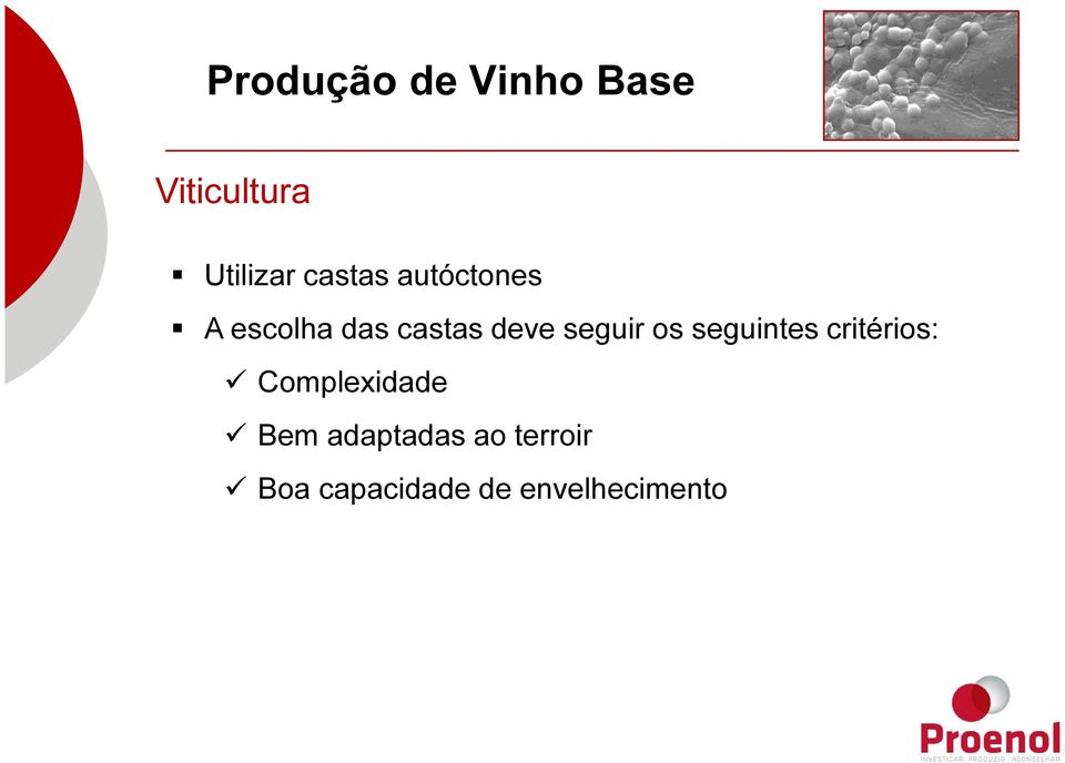 seguintes critérios: Complexidade Bem